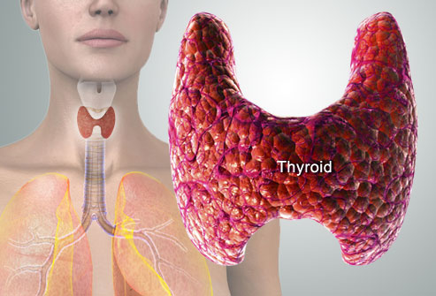 TIRED ALL THE TIME? CHECK YOUR THYROID!